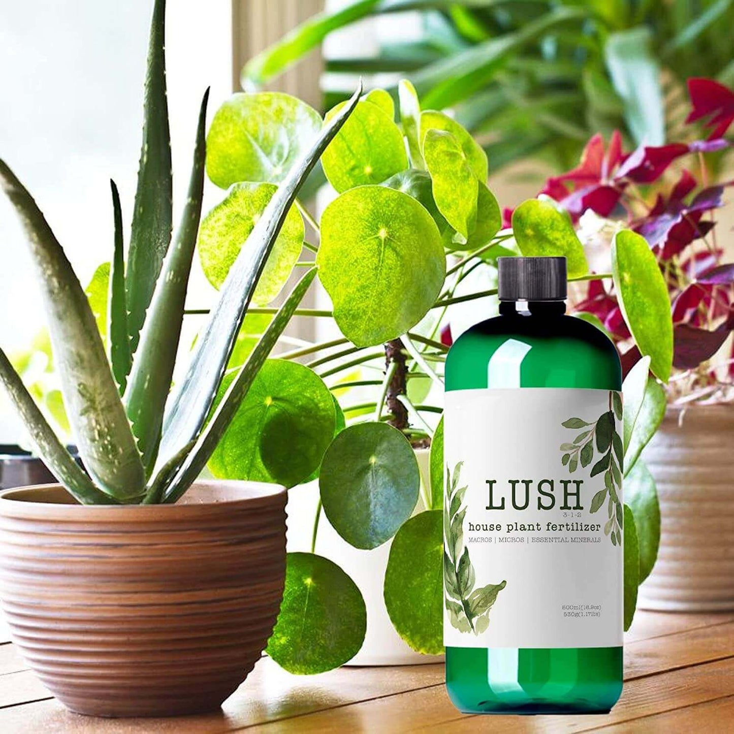 Lush Houseplant Fertilizer NilocG Aquatics