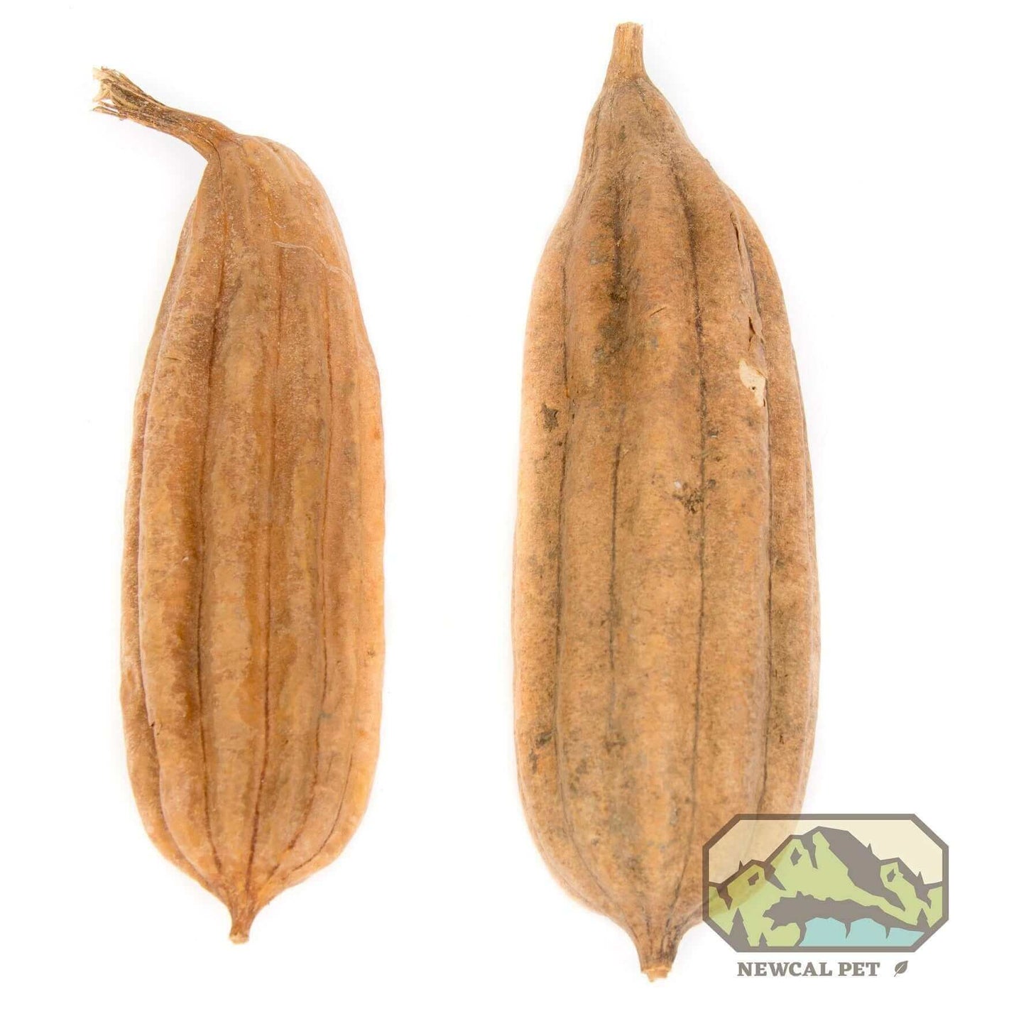 Jhinga Pod - 2 Pack Newcal