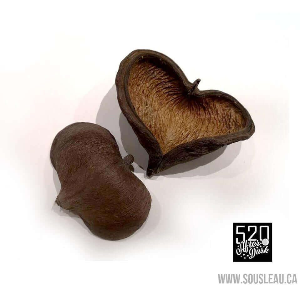 Jungle Pod (Package of 1) 520 afterdark