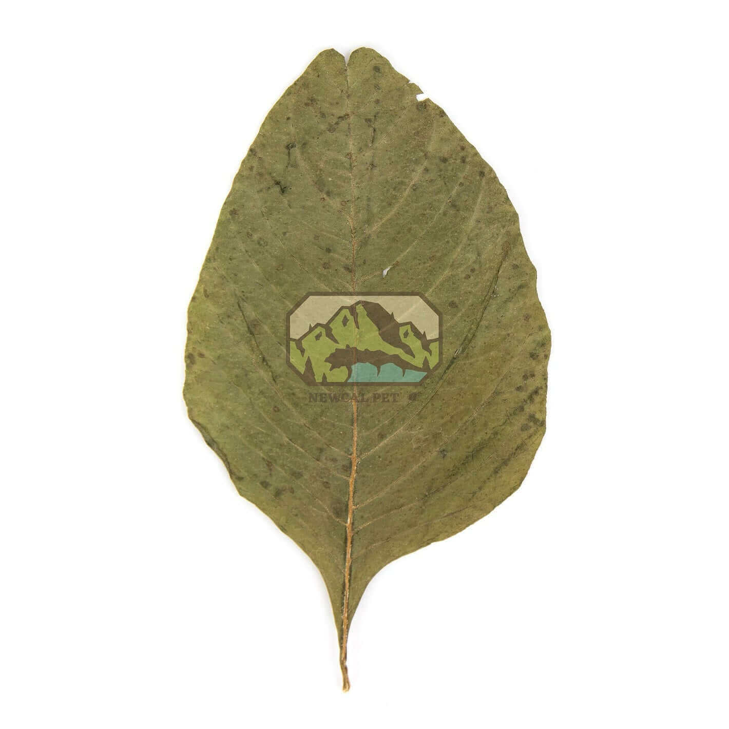 Amaranth Leaves - 20 Pack Newcal
