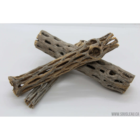 Cholla wood 6'' Sousleau Aquarium