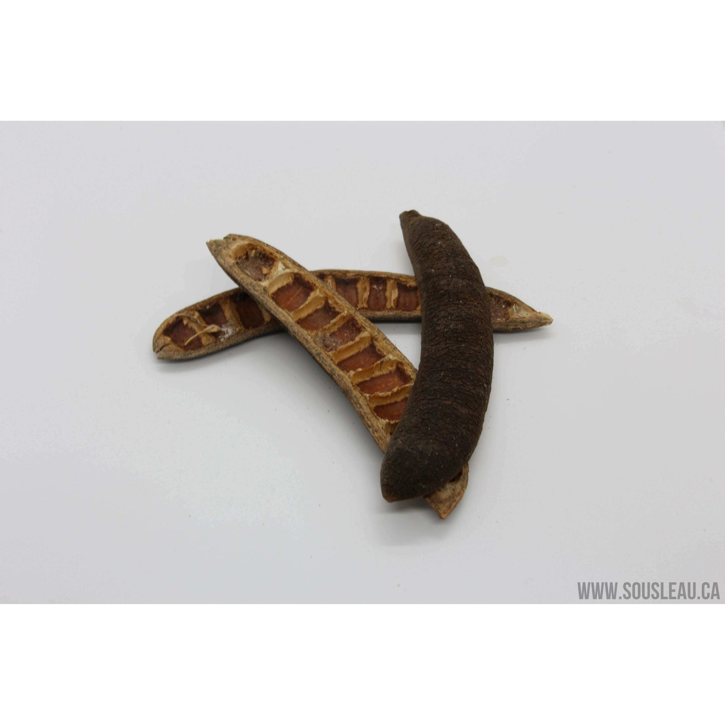 Cobra pod 3 pcs Sousleau Aquarium