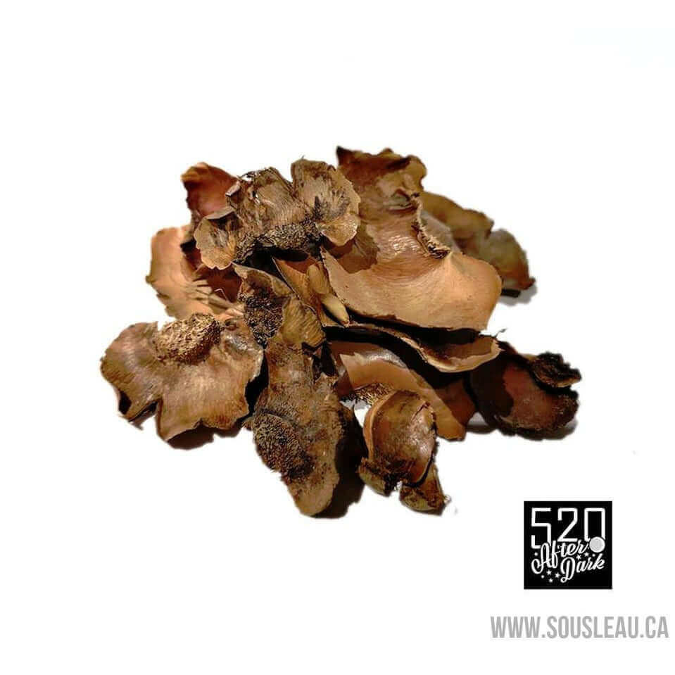 Coco 'petal' crown 520 afterdark