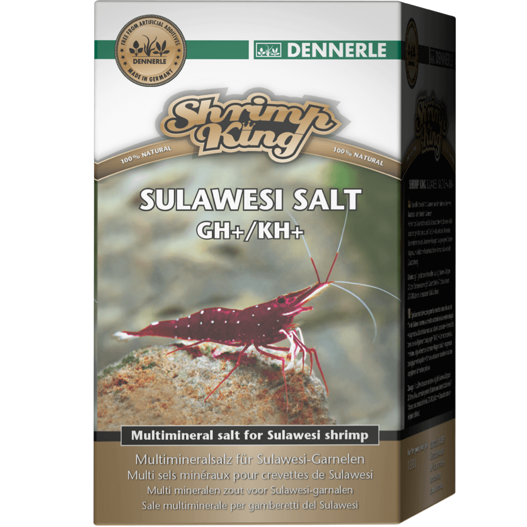 Shrimp King Sulawesi GH KH+ Dennerle