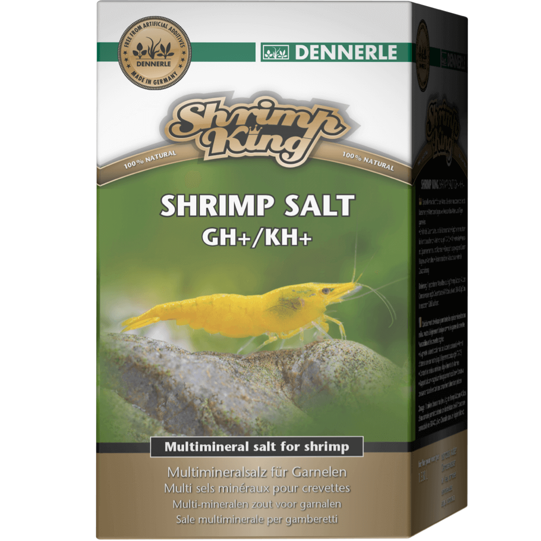 Shrimp King GH KH+ Dennerle
