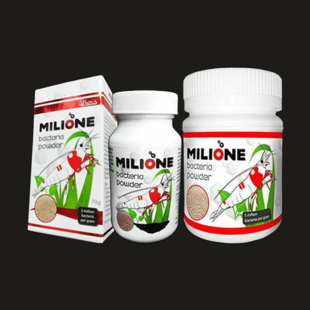 MORE MILIONE BACTERIA POWDER High Density Bacteria Powder SL AQUA