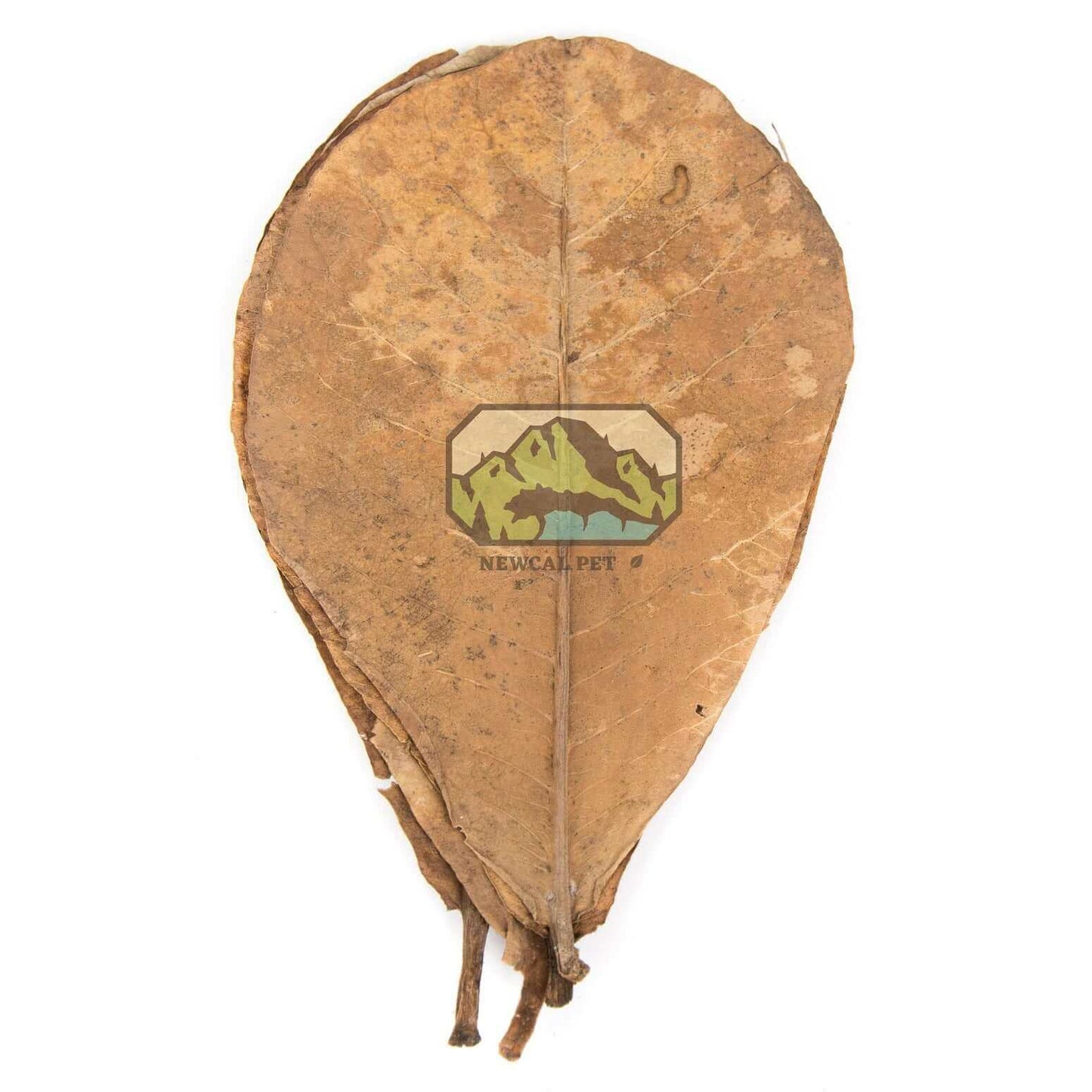 Almond Leaves Grade AAA Newcal