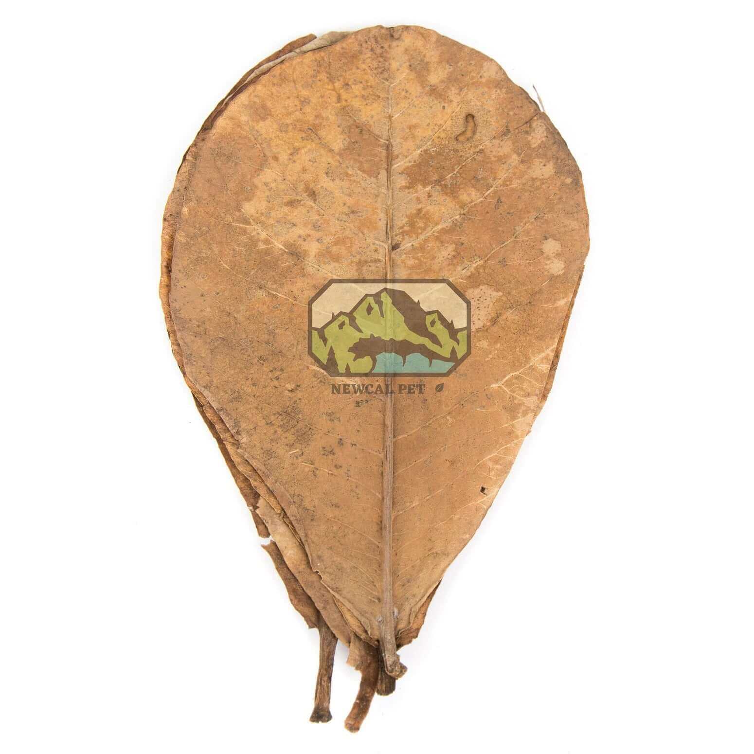 Almond Leaves Grade AAA Newcal