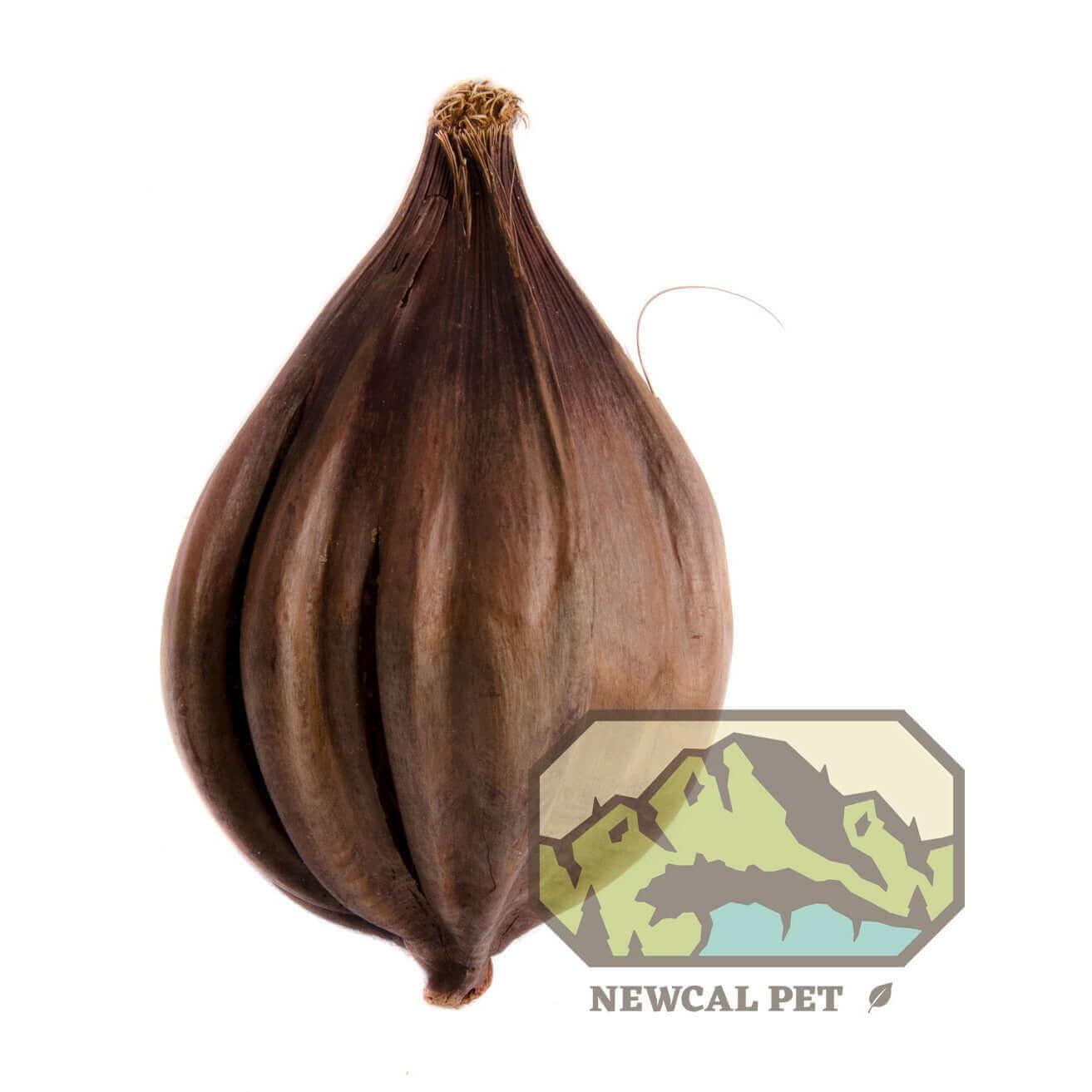 Nipa Pods - 2 Pack Newcal