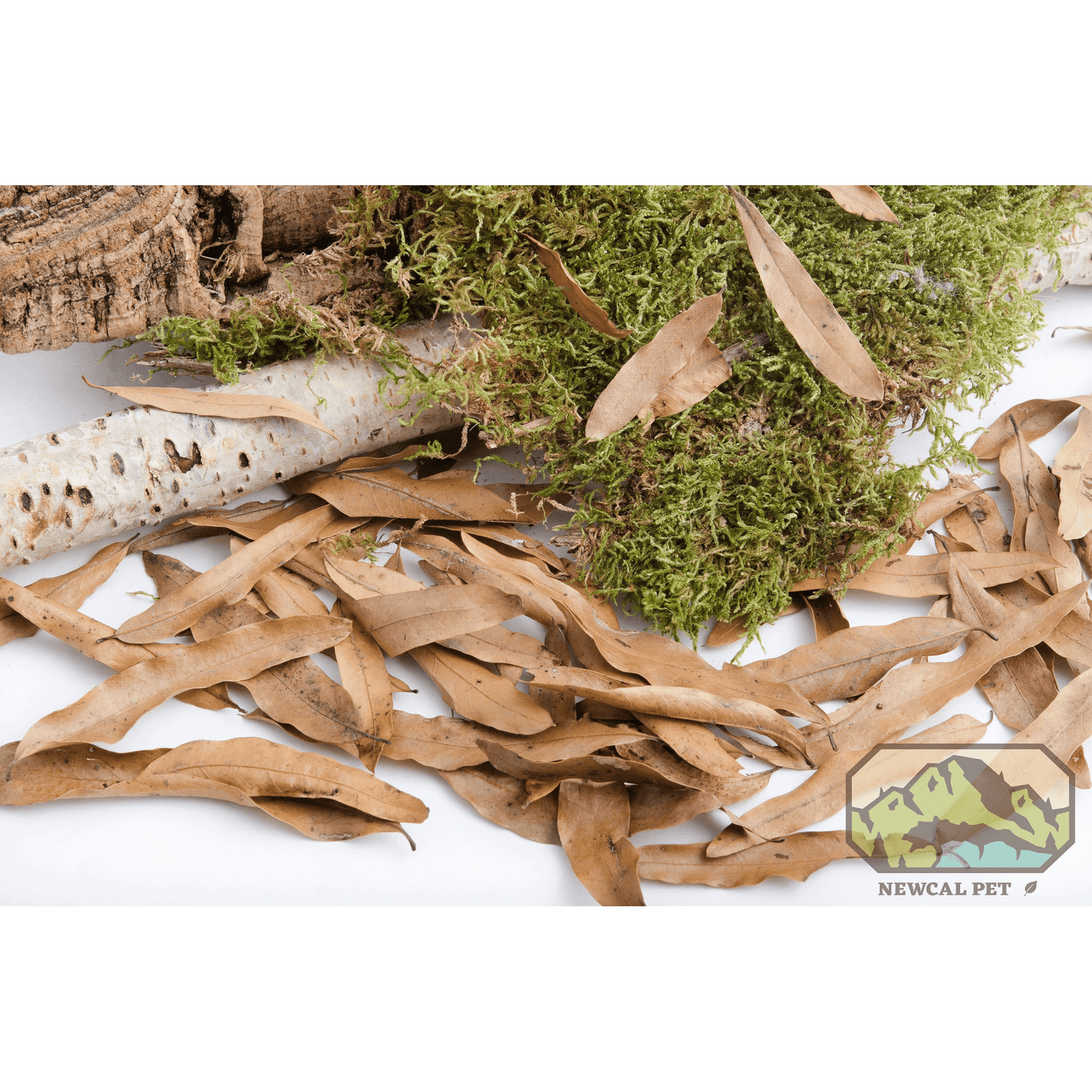 Willow Oak Leaf Litter Newcal