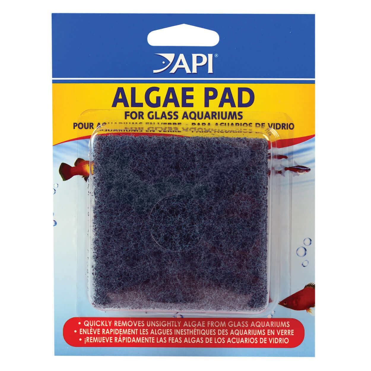 AP ALGAE SCRAPER PAD HAND-HELD API