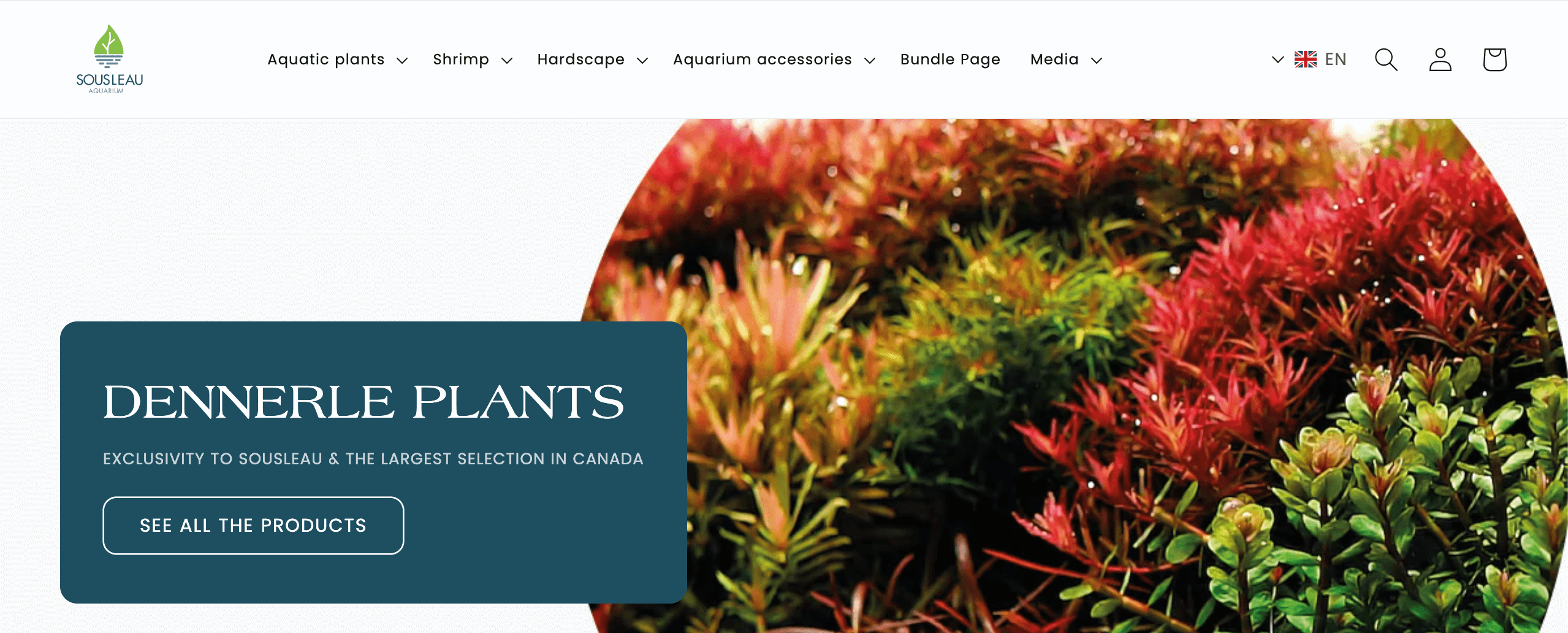 Delivery Policy for Freshwater Fish, Shrimp, and Aquatic Plants