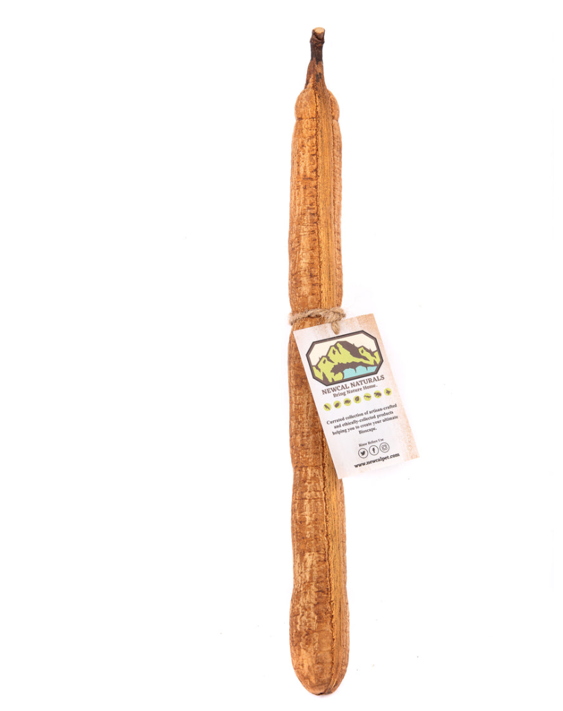 NEWCAL STICK FRUIT 12"