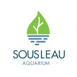 Sousleau