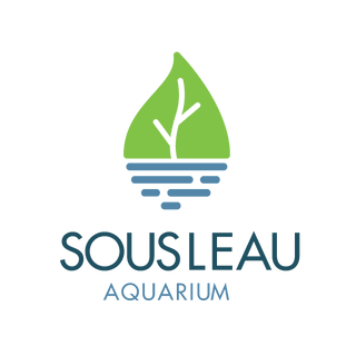 Sousleau