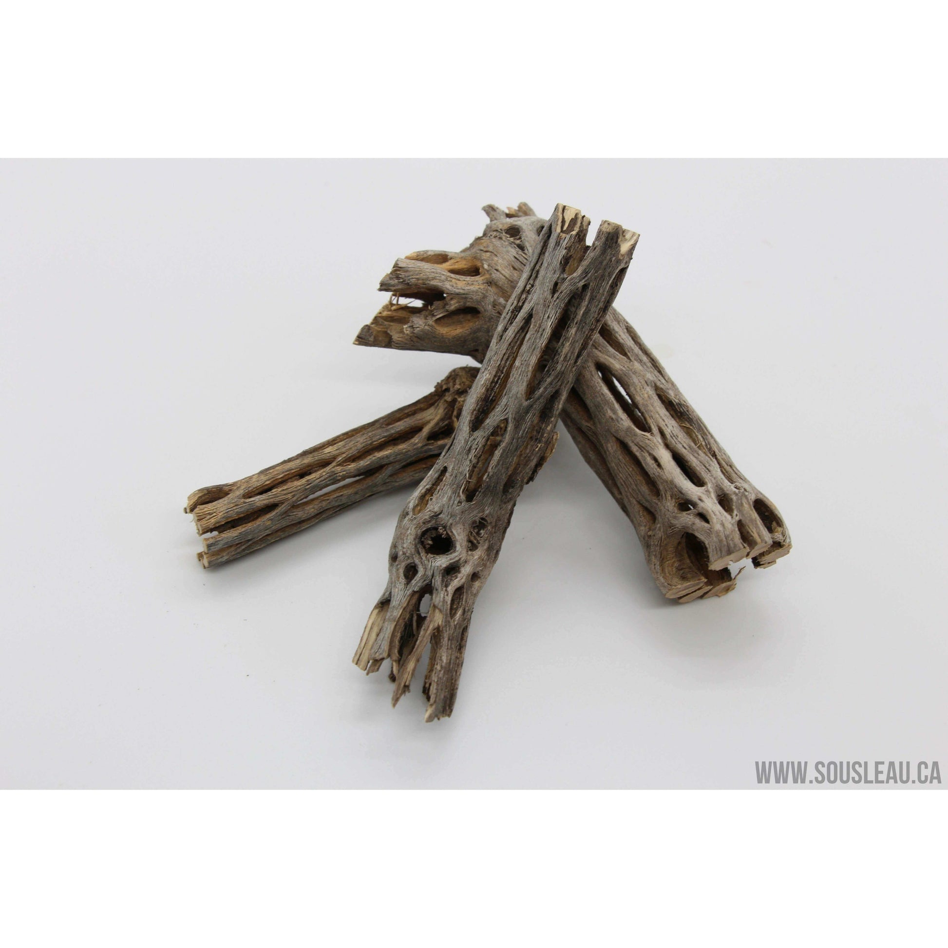 Cholla wood 4'' Sousleau Aquarium