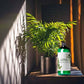 Lush Houseplant Fertilizer