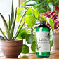 Lush Houseplant Fertilizer