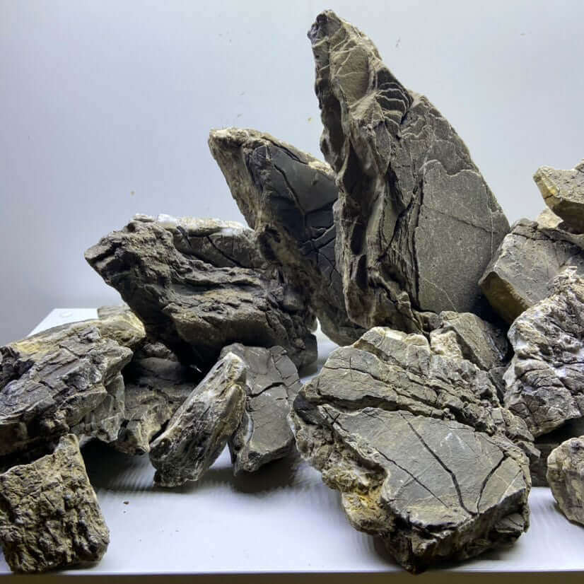 Frodo stone aquascape - WYSIWYG - Sousleau