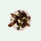 Echinodorus Fancy Twist Tissue Culture Sousleau Aquarium Sousleau Aquarium