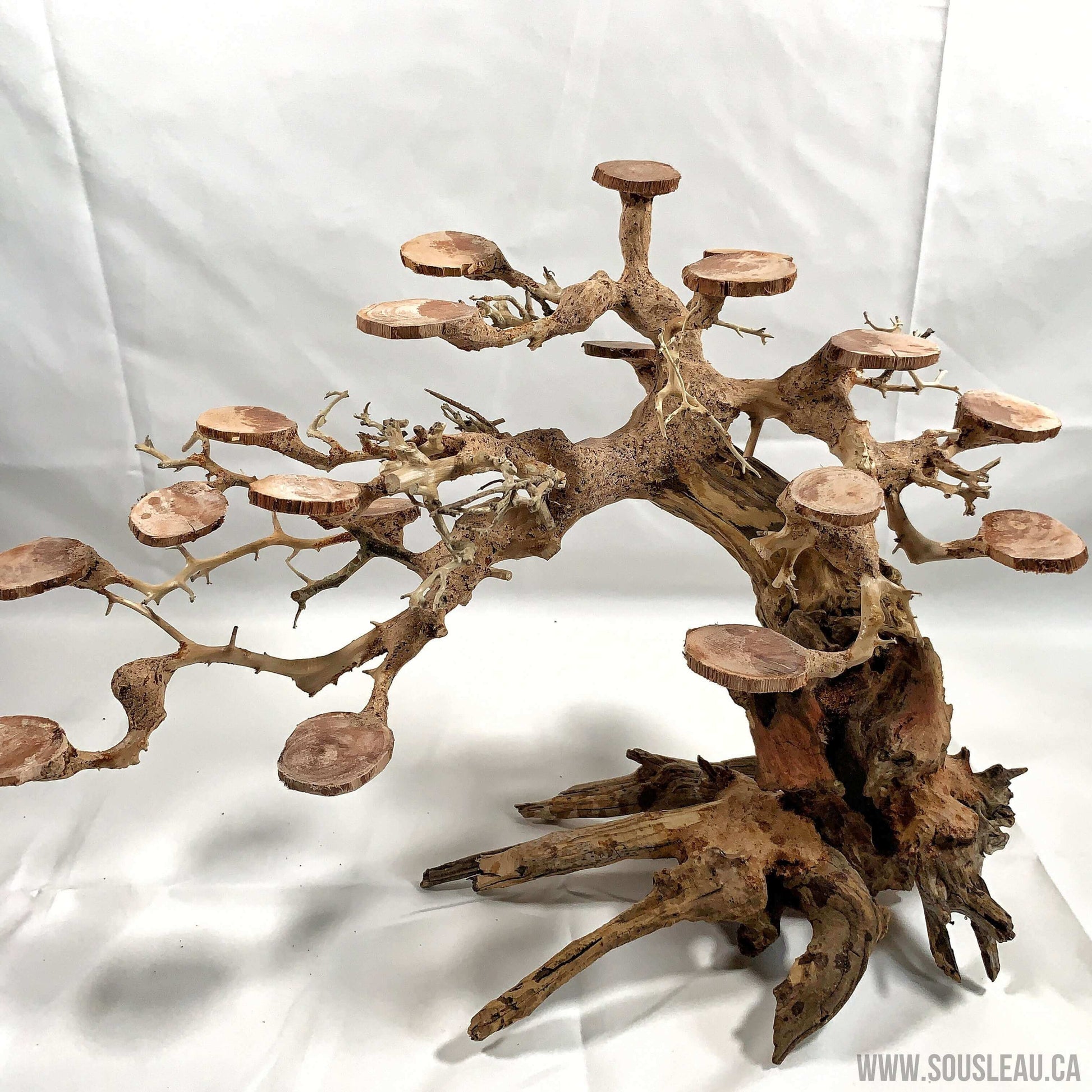 Rain forest bonsai 18'' Sousleau Aquarium