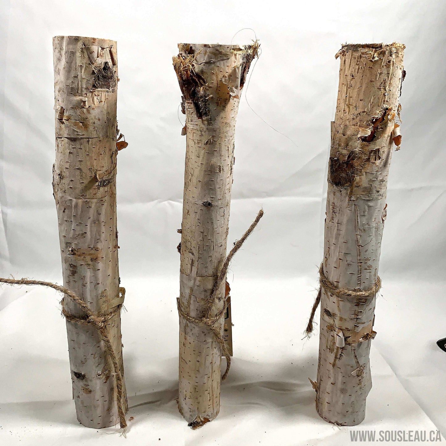 Birch Branch 12"