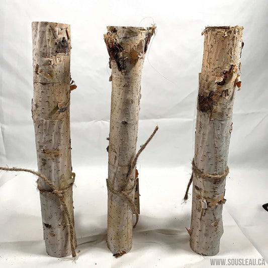 Birch Branch 12" Aquaglobe