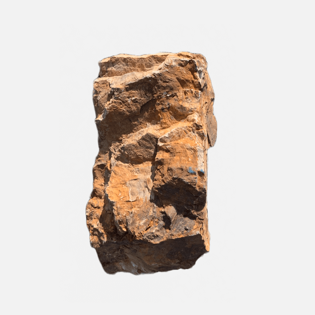 Petrified Wood Rock Aquaglobe