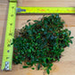 Bucephalandra mini coin séries Sousleau Aquarium