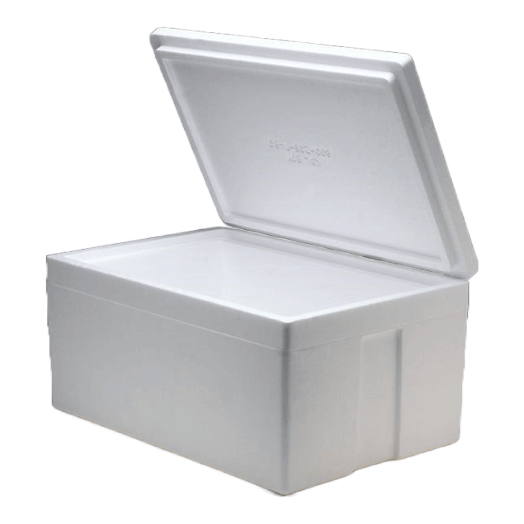 Styrofoam box (free in january) Sousleau