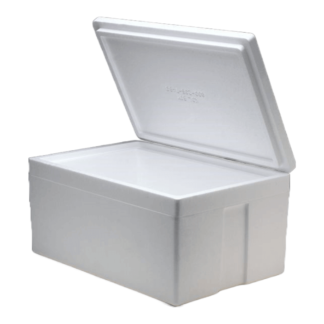 Styrofoam box Sousleau