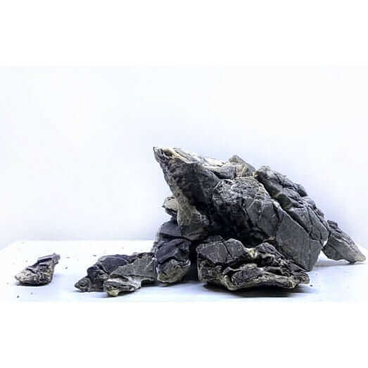 Ancient stone aquascape - WYSIWYG #4 Sousleau Aquarium