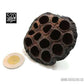 Lotus Pod large (Package of 1) 520 afterdark